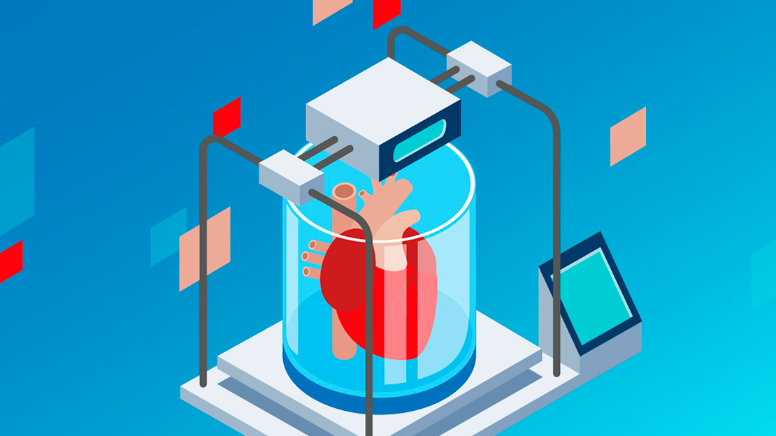 Impresoras 3D ¿Qué son? y la Bioimpresión